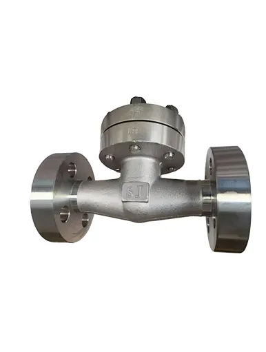 Lift Check Valve